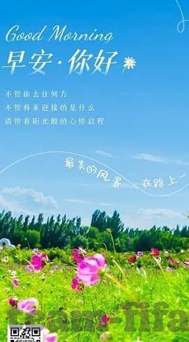 竞彩新浪比分足球比分-探秘竞彩新浪比分，足球比分的数字背后藏着哪些秘密？